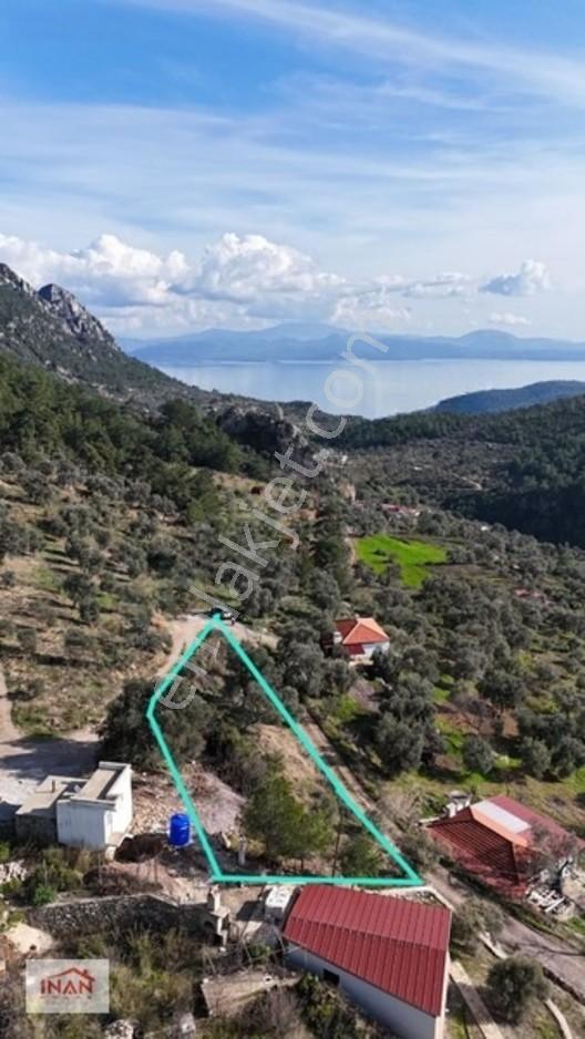 Akbük Sahiline 10 Dakika! | 772 M² Deniz Manzaralı Tarla