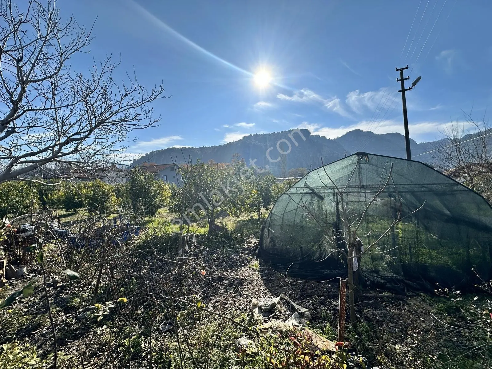 Ortaca Okçular'da, İki Adet Müştemilatlı, 2475m² Satılık Arazi — fotoğraf 3