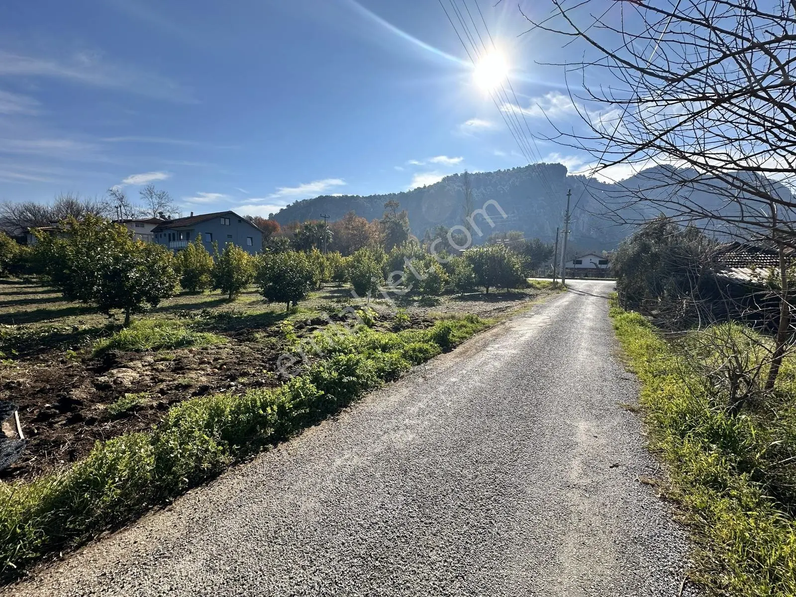 Ortaca Okçular'da, İki Adet Müştemilatlı, 2475m² Satılık Arazi — fotoğraf 4
