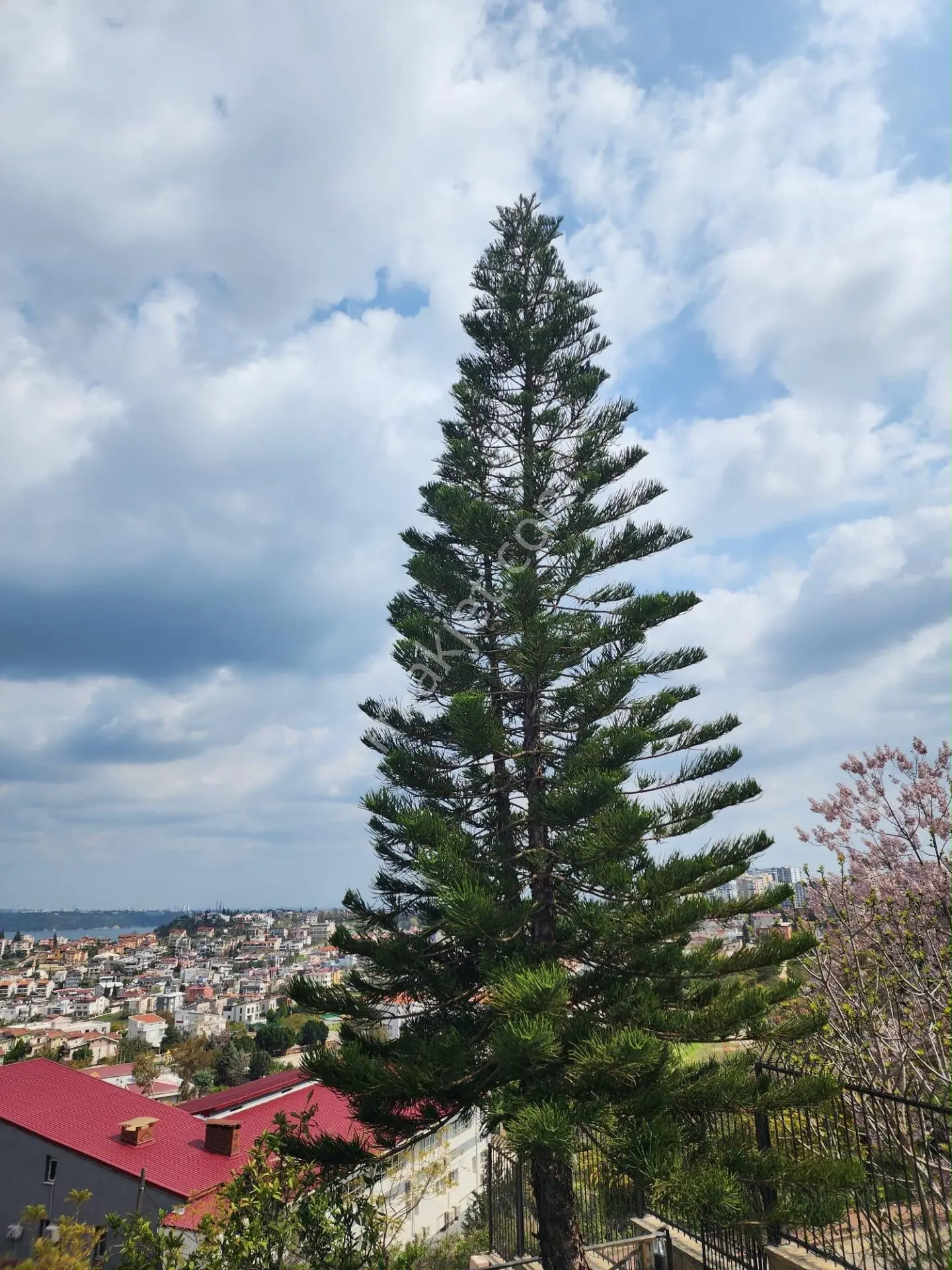 Karslılar 11+2 Panoramik Göl Manzara 1200m2 Arsa 800m2 Oturum 4katlı 5banyo Dgaz 11-15yaş Havuz — fotoğraf 22