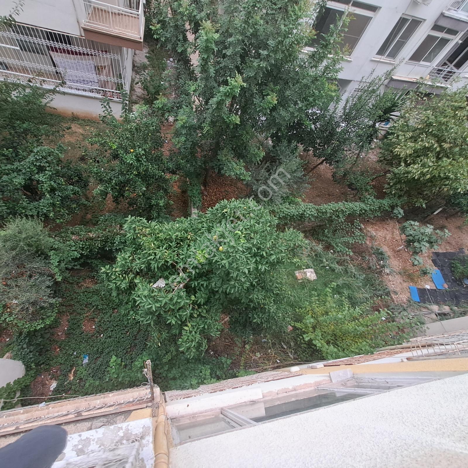 Pirireiste Doğalgazlı 2+1 Geniş Daire, Kat Mülkiyetli — fotoğraf 19