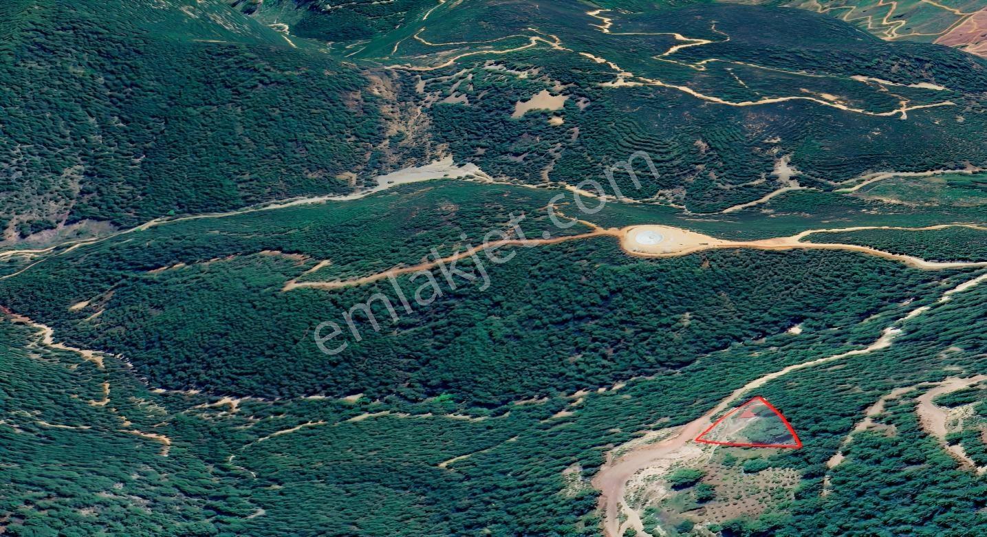 Göceke Yakın Doğa İçinde Tarla | 144 Ada 4 Parsel — fotoğraf 2