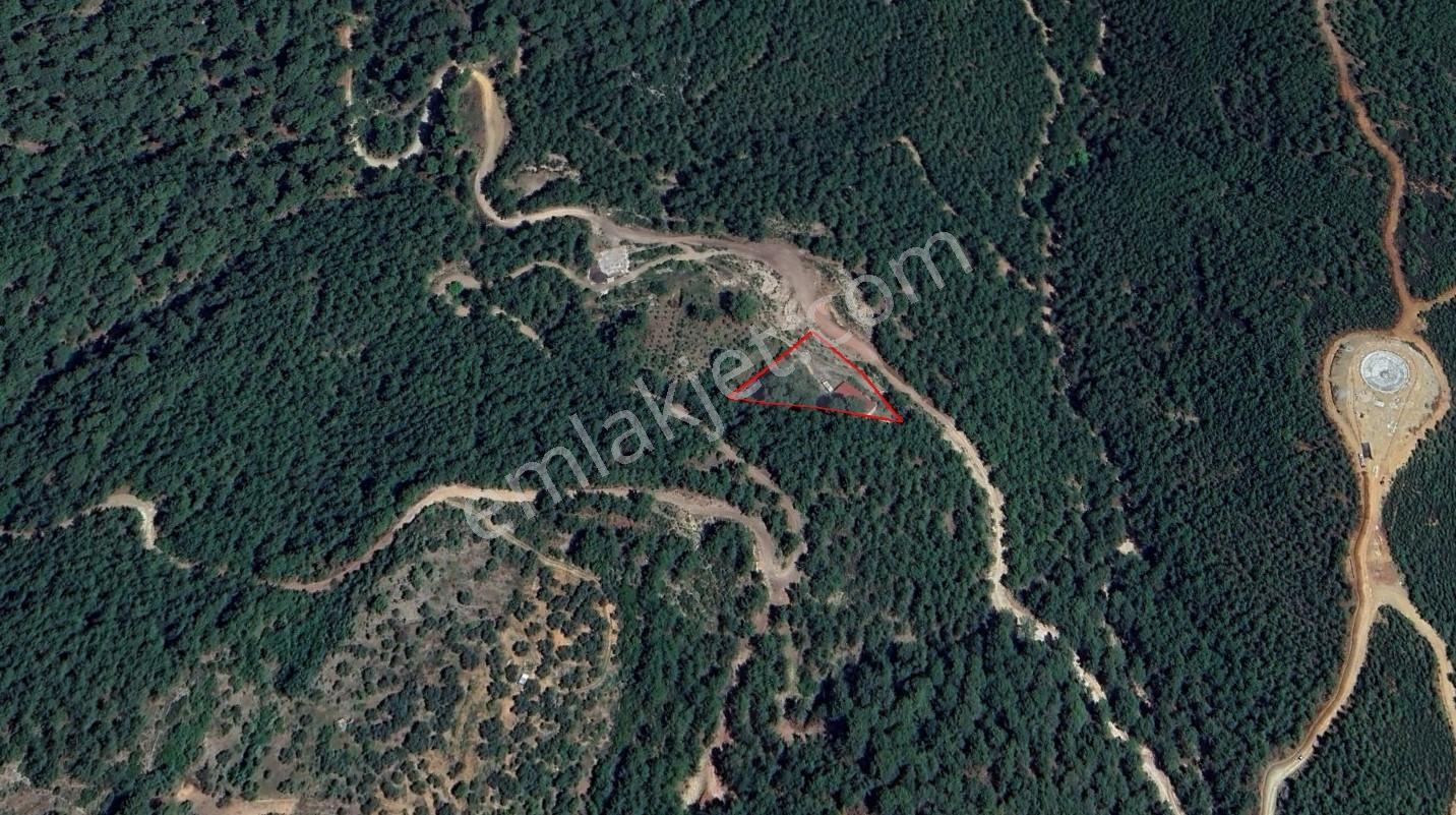 Göceke Yakın Doğa İçinde Tarla | 144 Ada 4 Parsel — fotoğraf 4