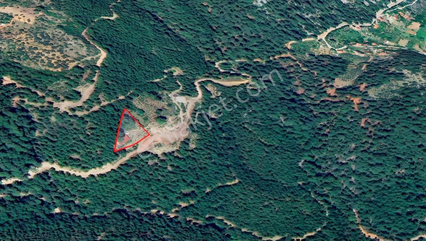 Göceke Yakın Doğa İçinde Tarla | 144 Ada 4 Parsel — fotoğraf 5
