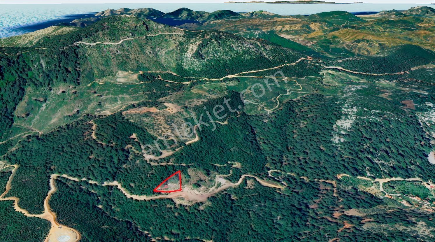 Göceke Yakın Doğa İçinde Tarla | 144 Ada 4 Parsel — fotoğraf 6