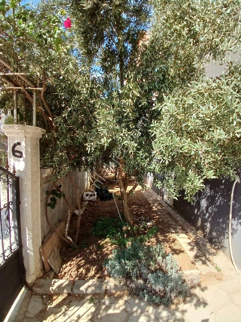 Didim Cumhuriyet Mahallesinde Satılık 1+1 Daire — fotoğraf 5