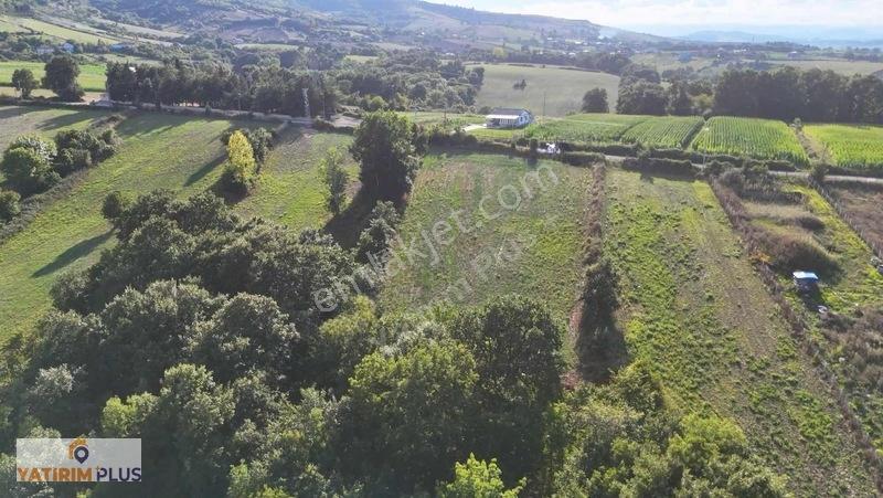 Yatırımplus'yan Tepeköyde Asfalta Cephe Ev Yapılabilir Tarla — fotoğraf 2