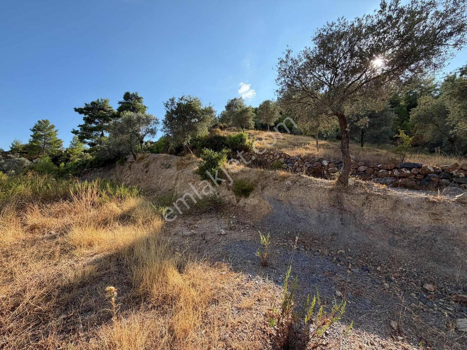 Muğla Menteşe Akbük Ve Ören'in Yanı Başında Satılık 683 M² — fotoğraf 3
