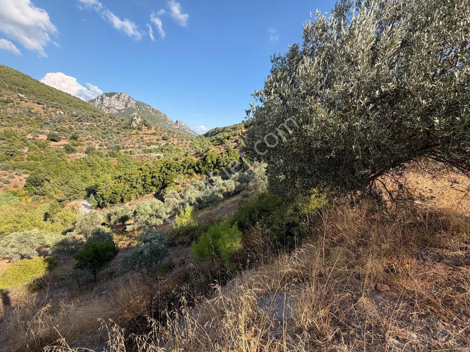 Muğla Menteşe Akbük Ve Ören'in Yanı Başında Satılık 683 M² — fotoğraf 4