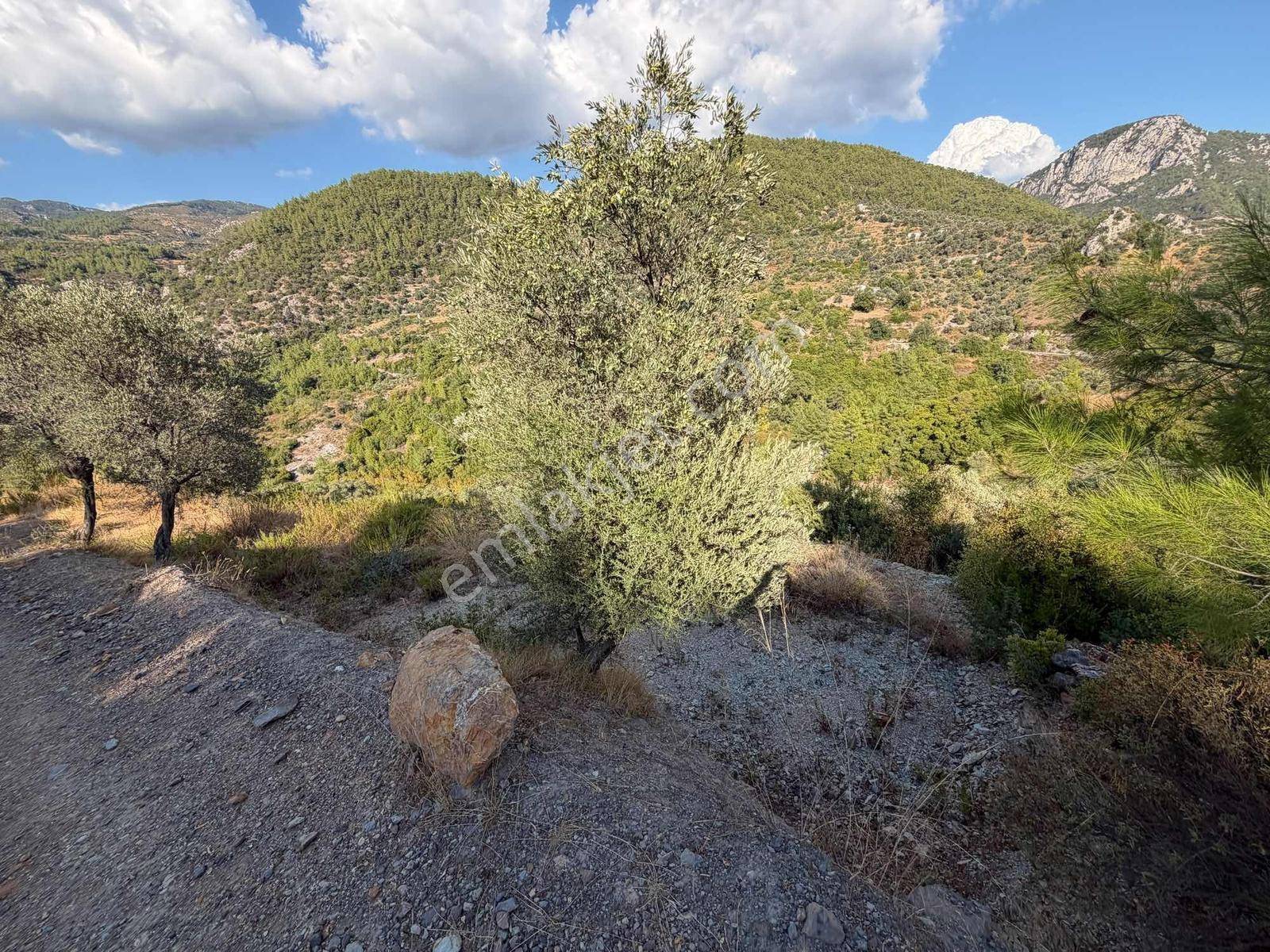 Muğla Menteşe Akbük Ve Ören'in Yanı Başında Satılık 683 M² — fotoğraf 10