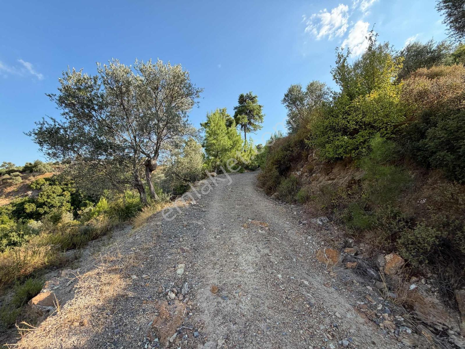 Muğla Menteşe Akbük Ve Ören'in Yanı Başında Satılık 683 M² — fotoğraf 11