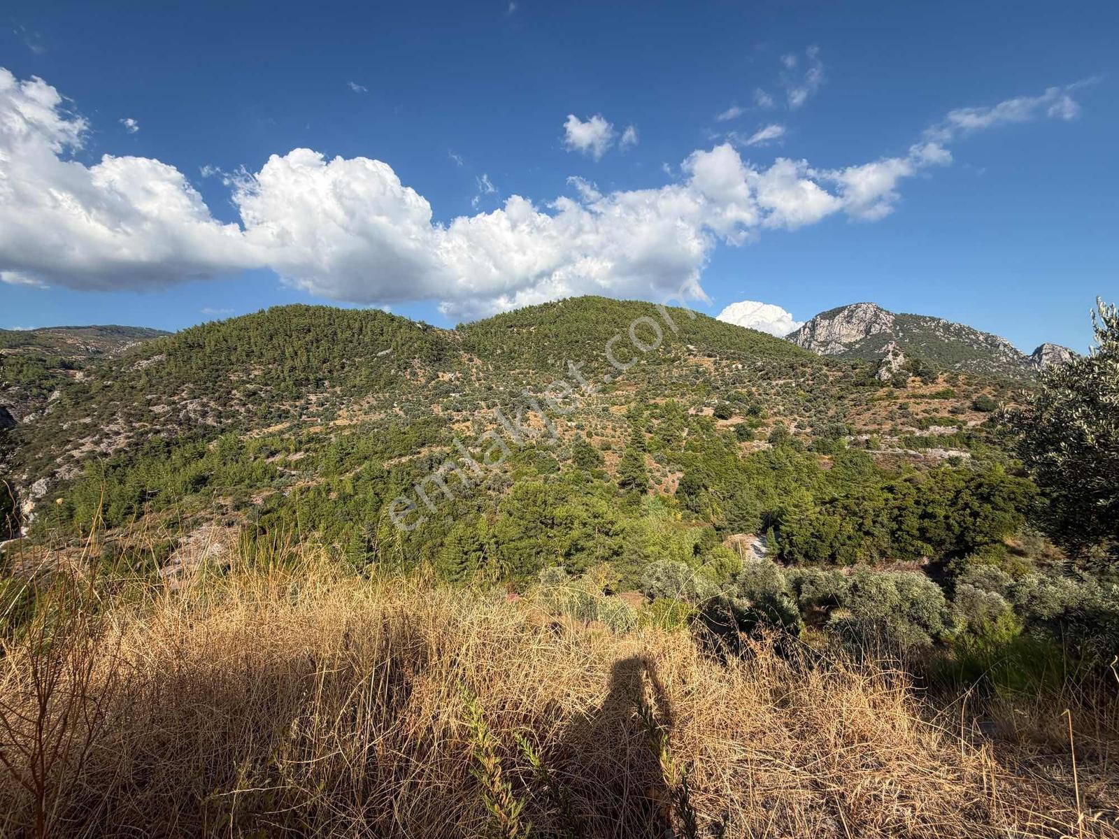 Muğla Menteşe Akbük Ve Ören'in Yanı Başında Satılık 683 M² — fotoğraf 12