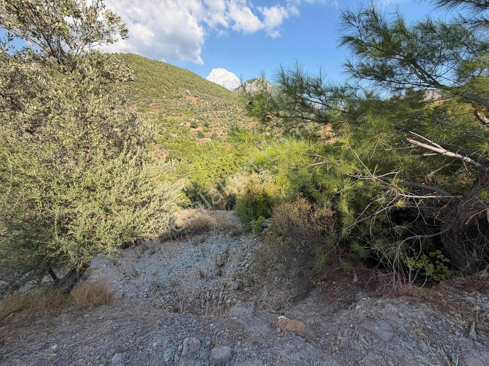 Muğla Menteşe Akbük Ve Ören'in Yanı Başında Satılık 683 M² — fotoğraf 14