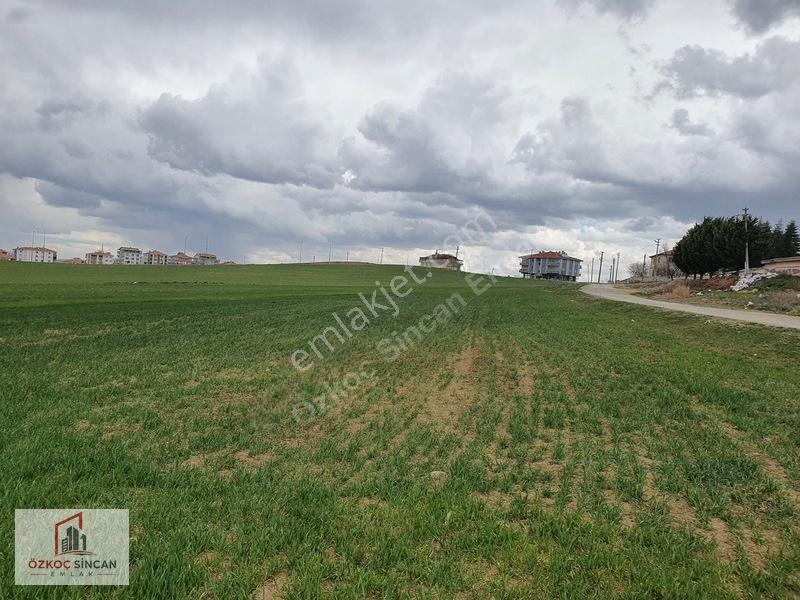 Sincan Temelli Tek Tapu İmarlı 620m2 Köşe Başı — fotoğraf 16