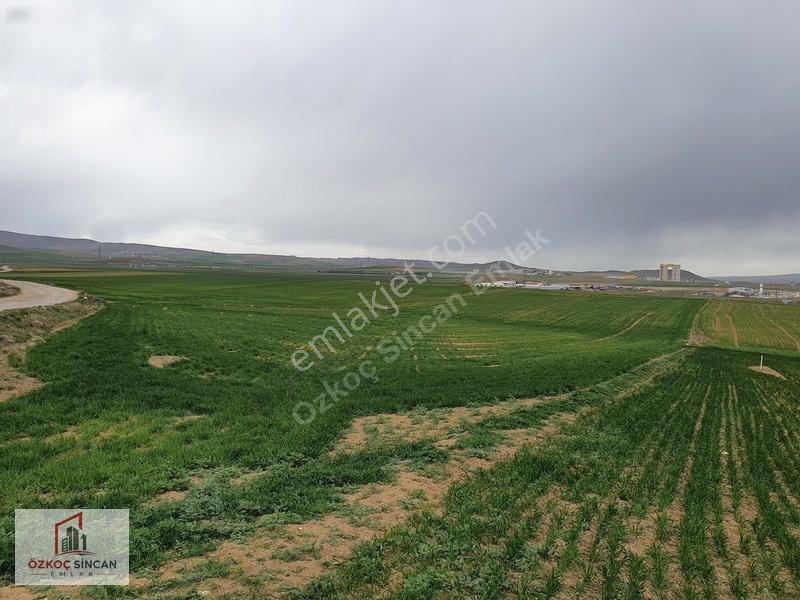 Sincan Temelli Tek Tapu İmarlı 620m2 Köşe Başı — fotoğraf 25