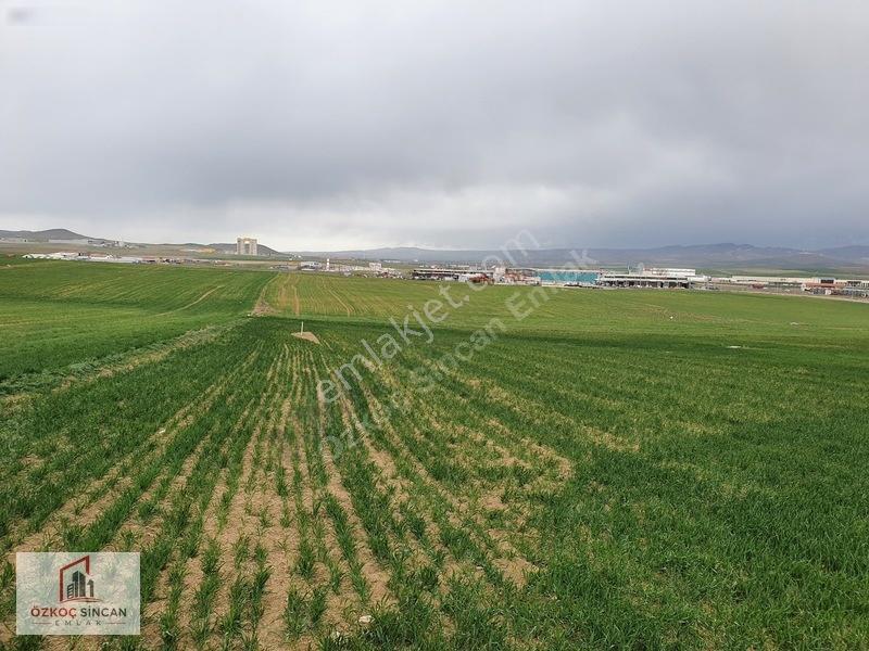 Sincan Temelli Tek Tapu İmarlı 620m2 Köşe Başı — fotoğraf 28