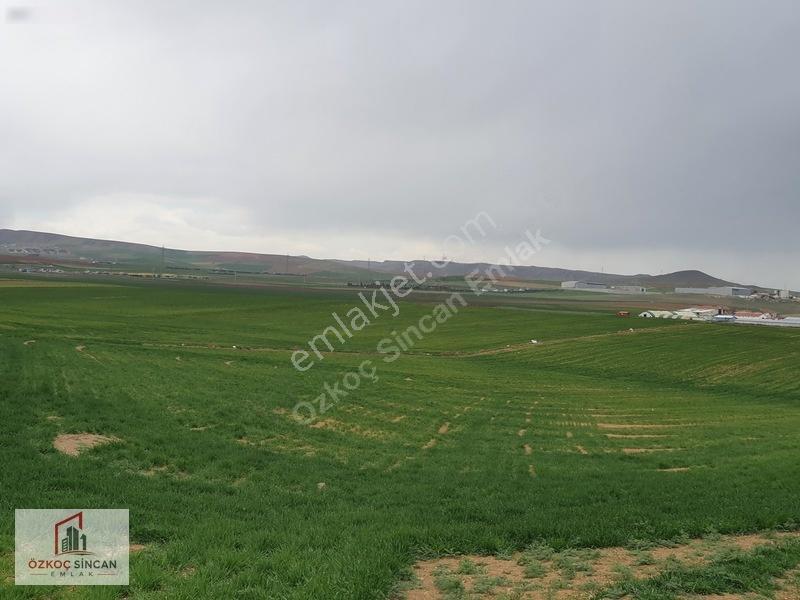 Sincan Temelli Tek Tapu İmarlı 620m2 Köşe Başı — fotoğraf 34