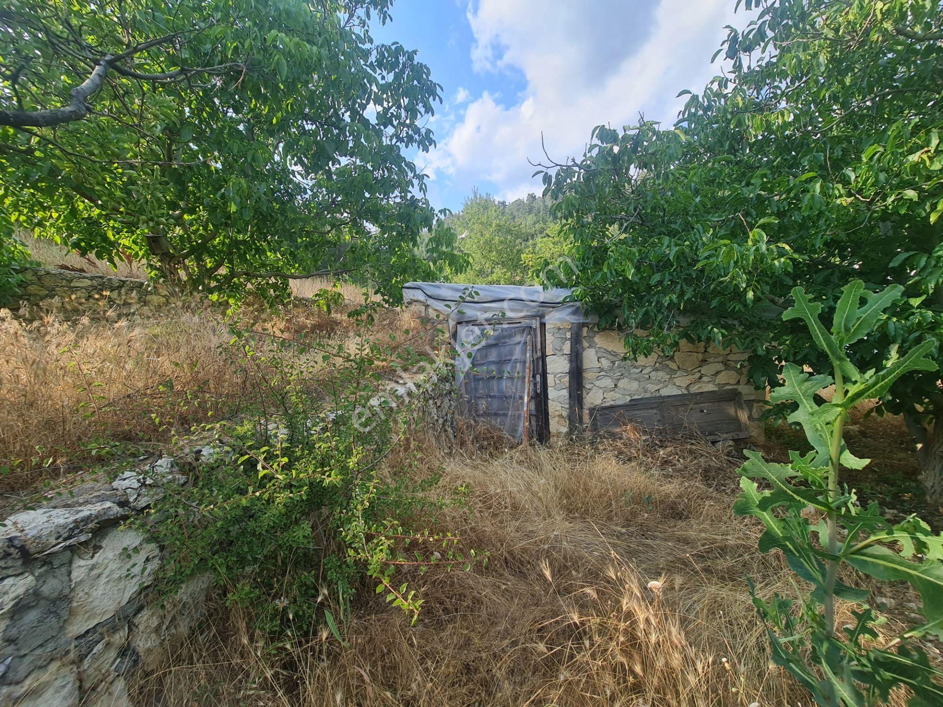 Anchor Gayrimenkul'den Bozyazı Kızılca Köyünde Satılık Bahçeli 2+1yayla Evi — fotoğraf 2
