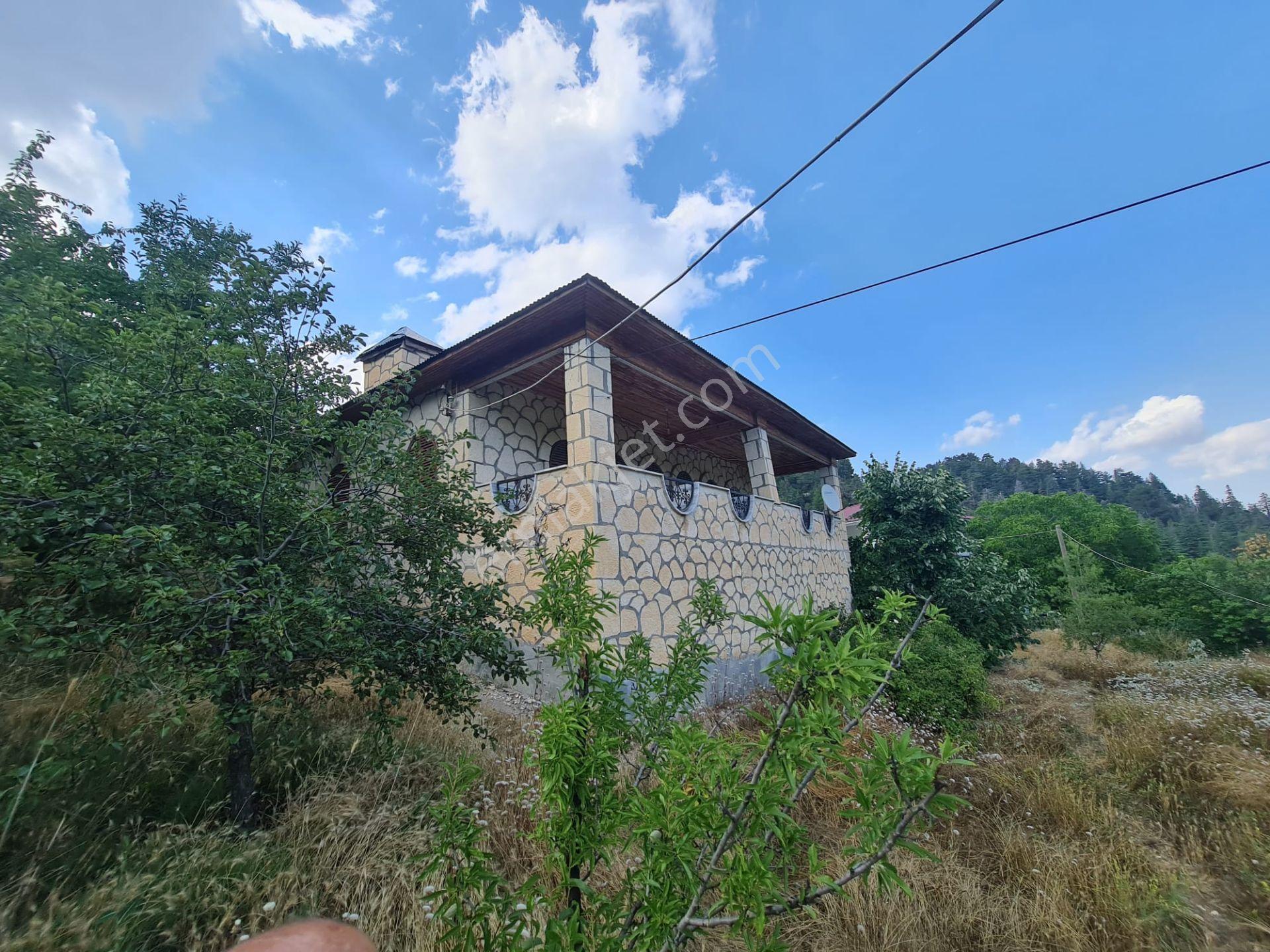 Anchor Gayrimenkul'den Bozyazı Kızılca Köyünde Satılık Bahçeli 2+1yayla Evi — fotoğraf 10