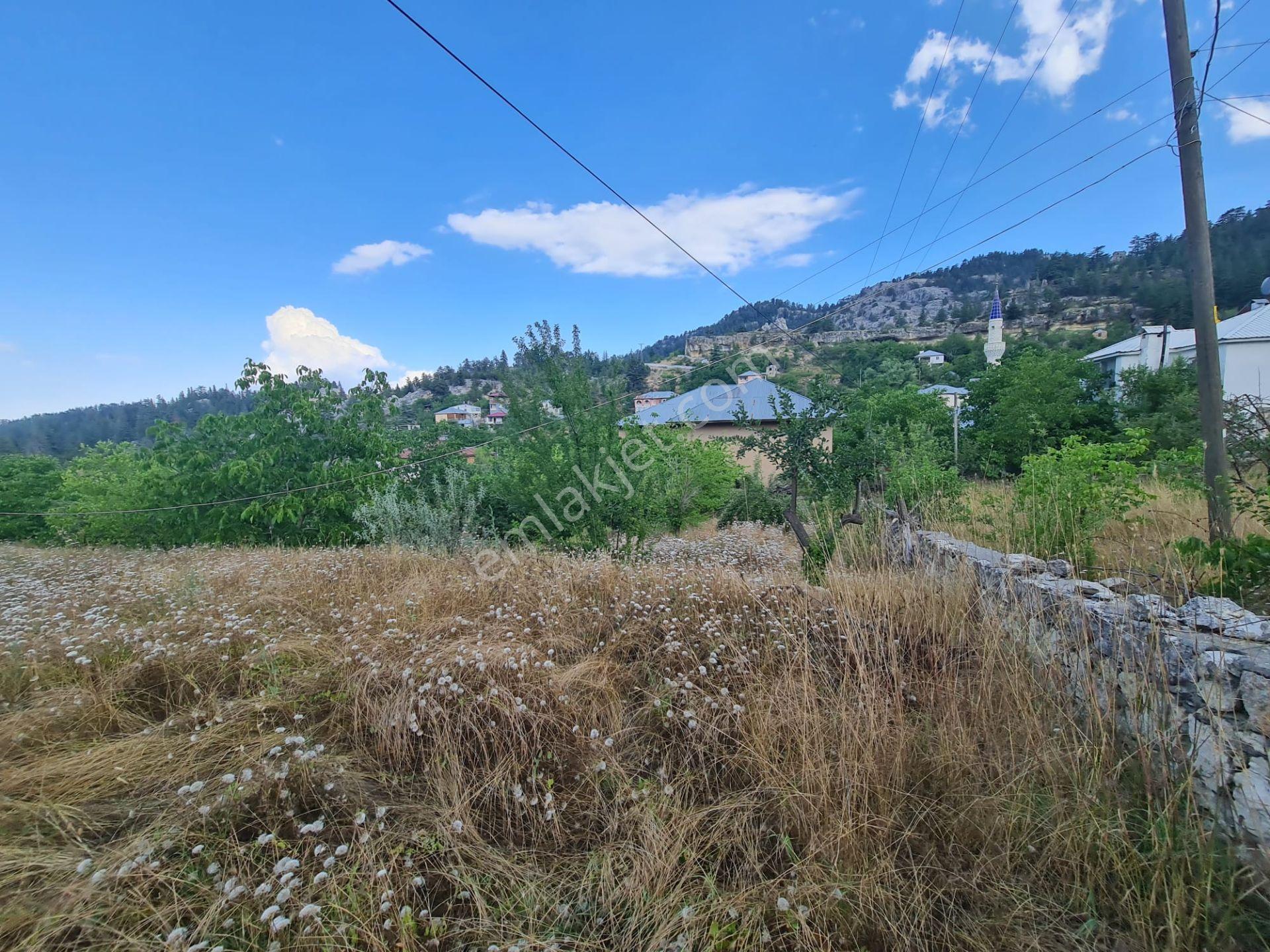 Anchor Gayrimenkul'den Bozyazı Kızılca Köyünde Satılık Bahçeli 2+1yayla Evi — fotoğraf 12