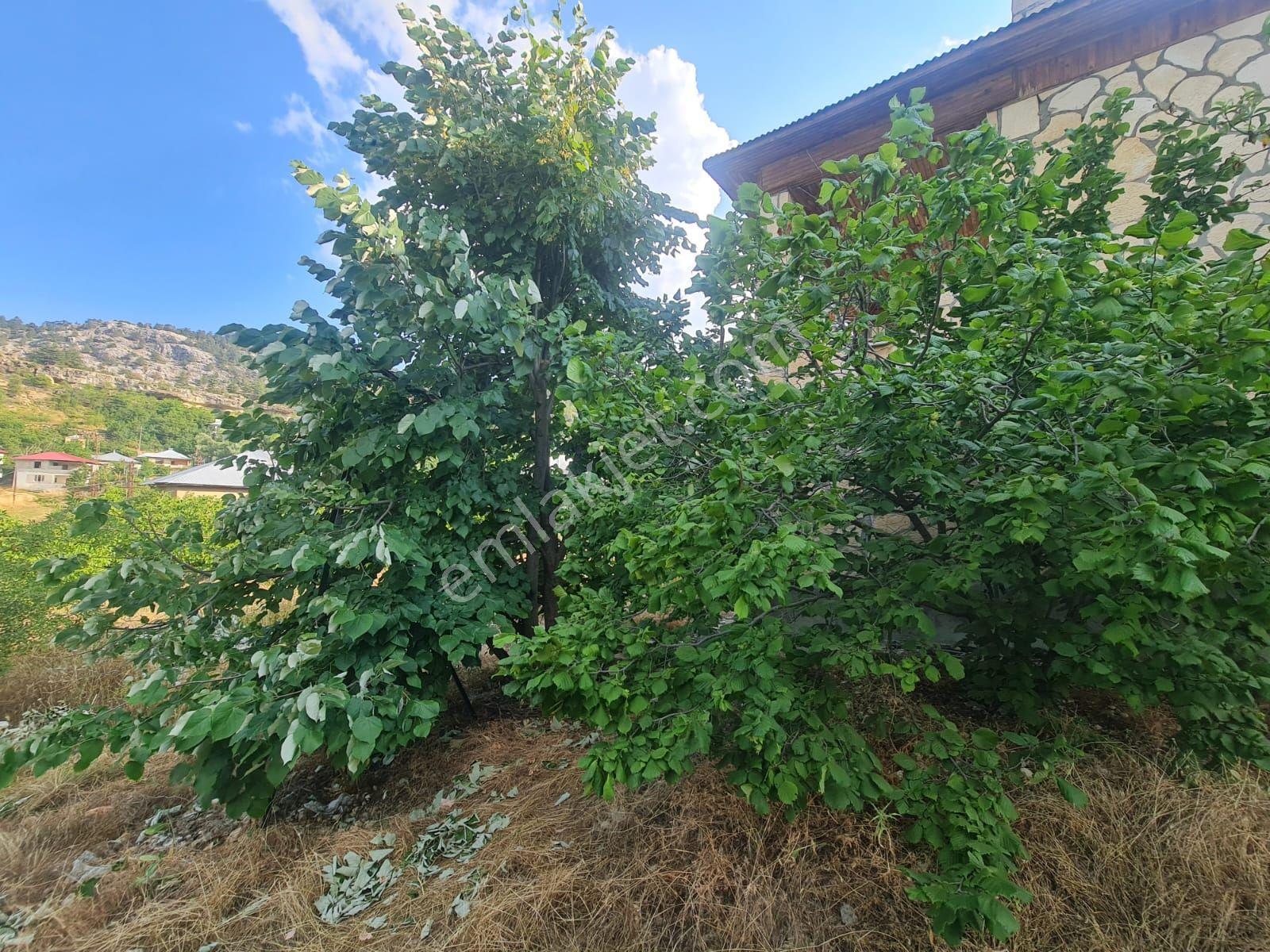 Anchor Gayrimenkul'den Bozyazı Kızılca Köyünde Satılık Bahçeli 2+1yayla Evi — fotoğraf 15