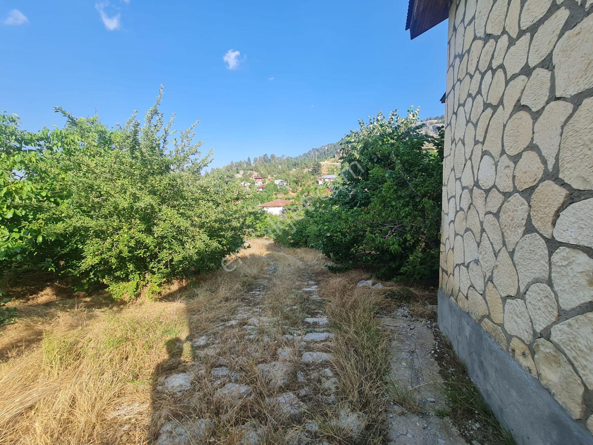 Anchor Gayrimenkul'den Bozyazı Kızılca Köyünde Satılık Bahçeli 2+1yayla Evi — fotoğraf 16
