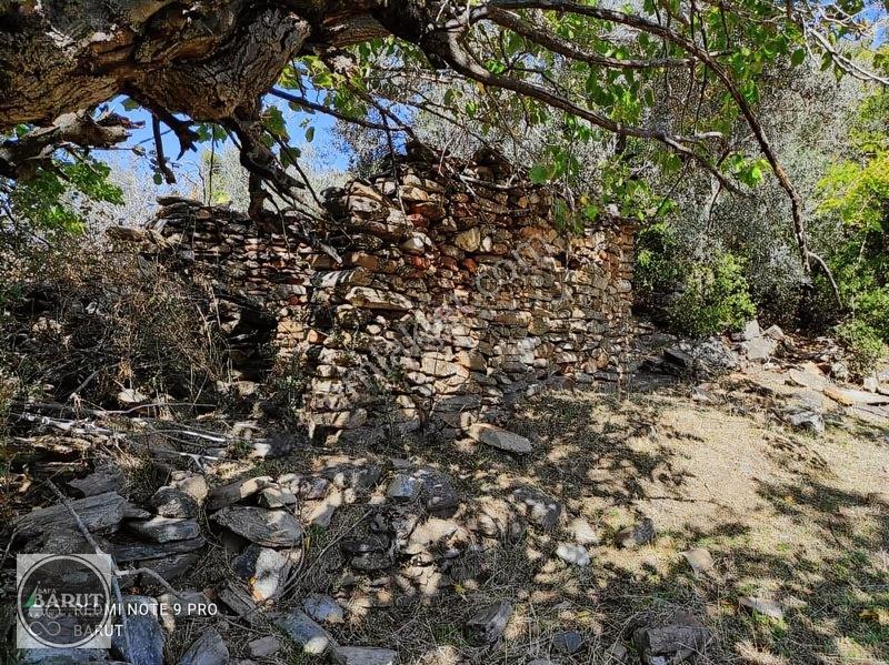Milas Şenköy Yaylada 12 Dünüm Kaçmaz Fırsat — fotoğraf 8