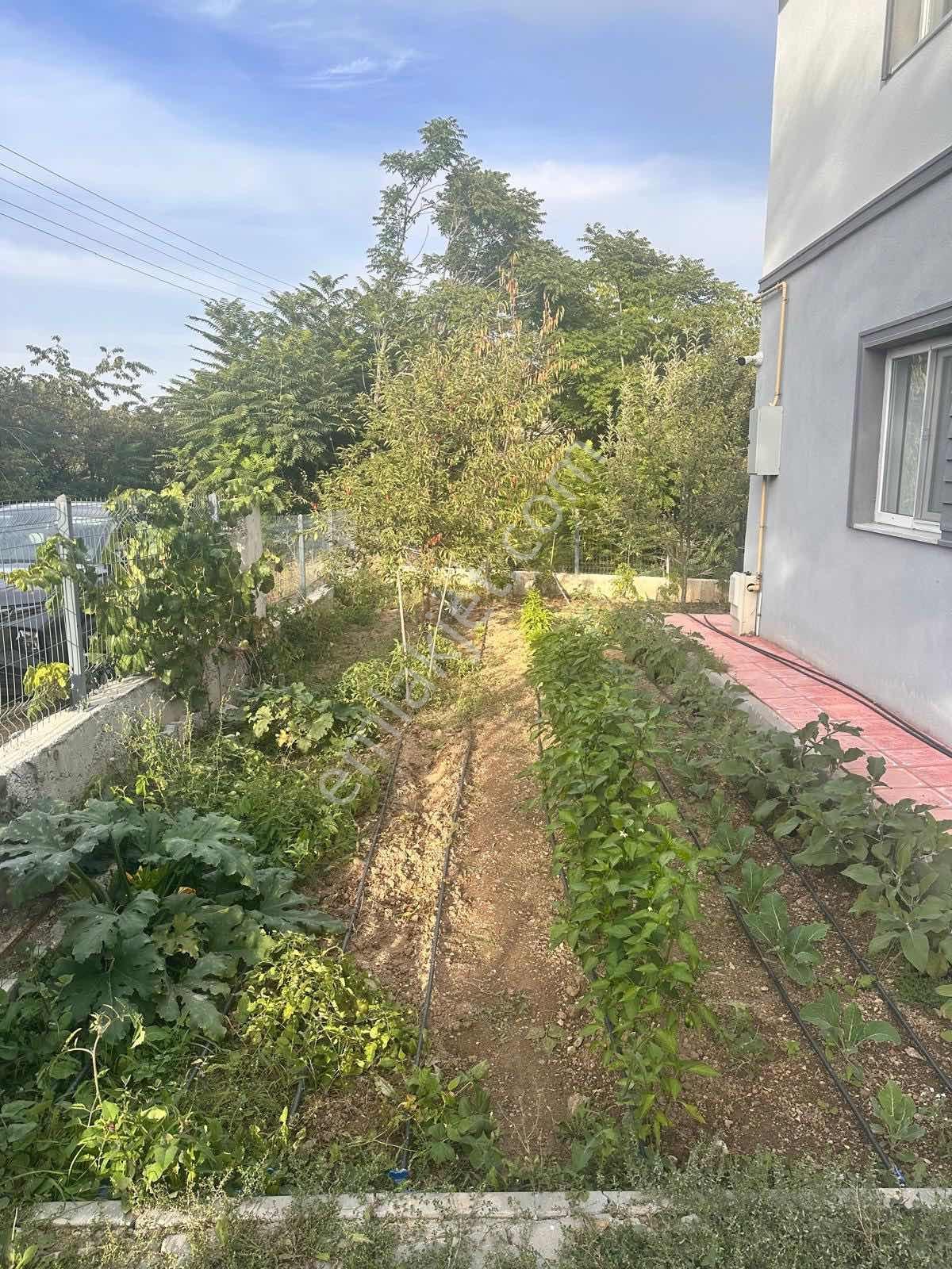 Ekin Group'tan Kalabalıktan Uzak, Sessizliğe Yakın Lüks Villa — fotoğraf 14