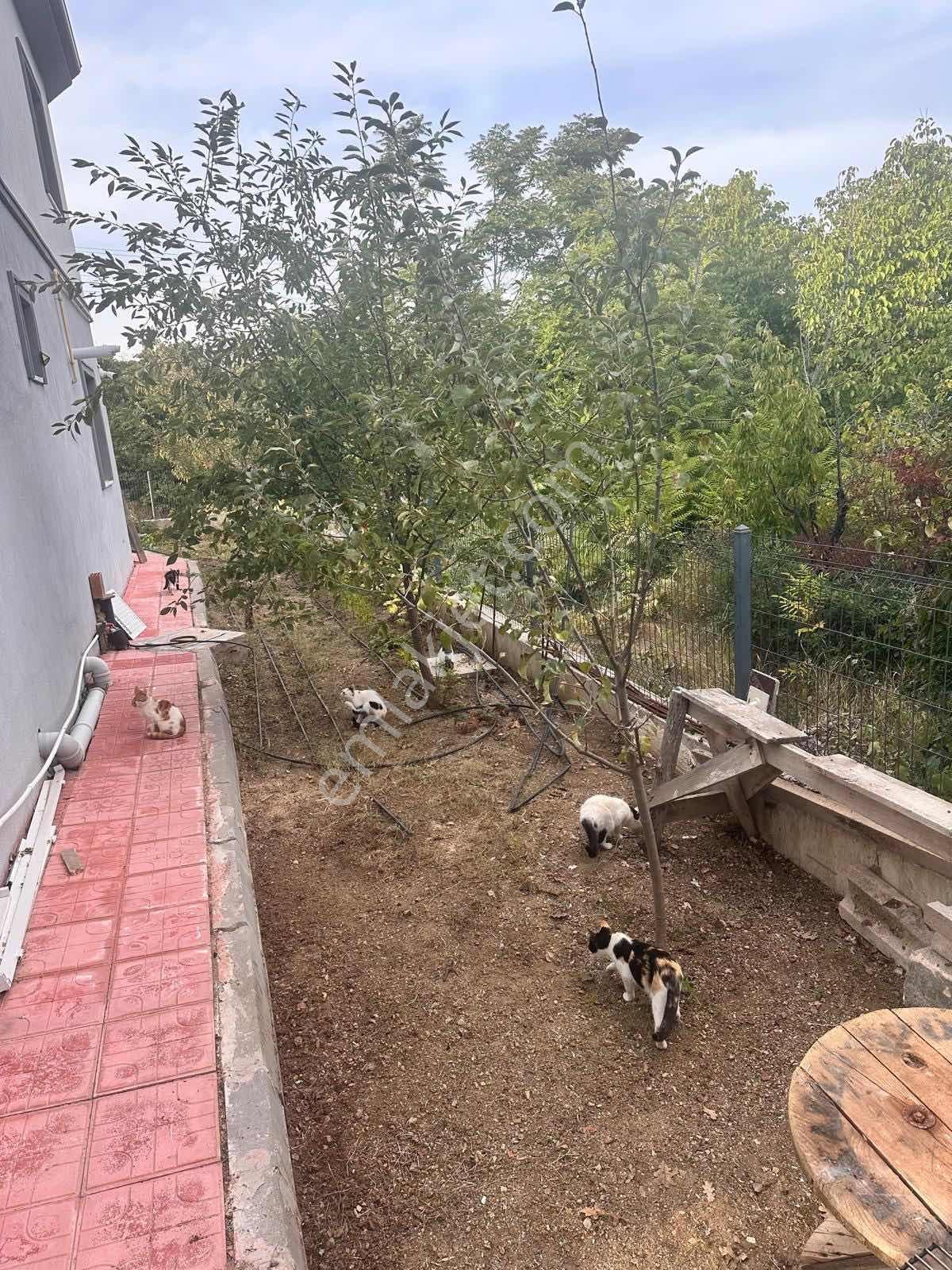 Ekin Group'tan Kalabalıktan Uzak, Sessizliğe Yakın Lüks Villa — fotoğraf 24