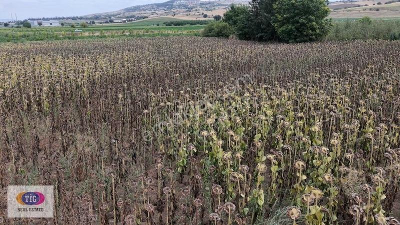 Yenişehir Söylemişte İnegöl Yoluna Cephe 5.840 M² Satılık Tarla — fotoğraf 3