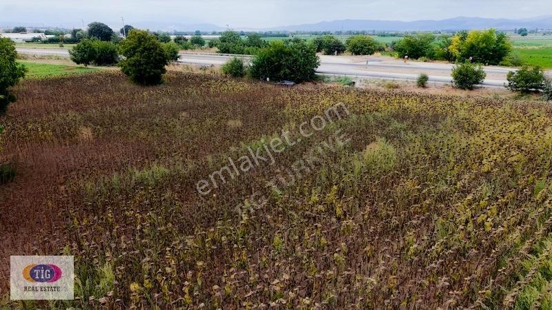 Yenişehir Söylemişte İnegöl Yoluna Cephe 5.840 M² Satılık Tarla — fotoğraf 4