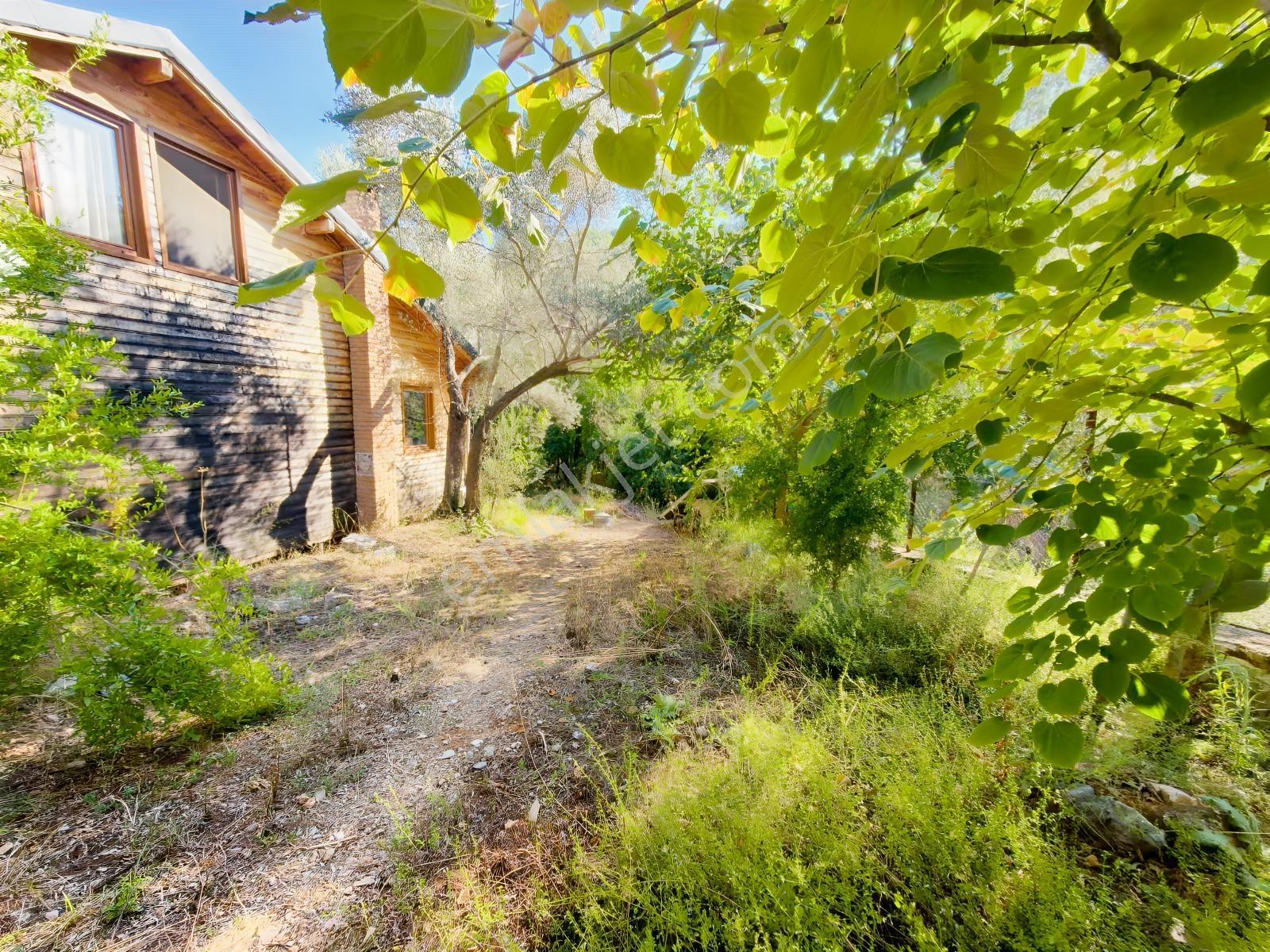 Doğa İçinde Fırsat Müstakil Ev — fotoğraf 19