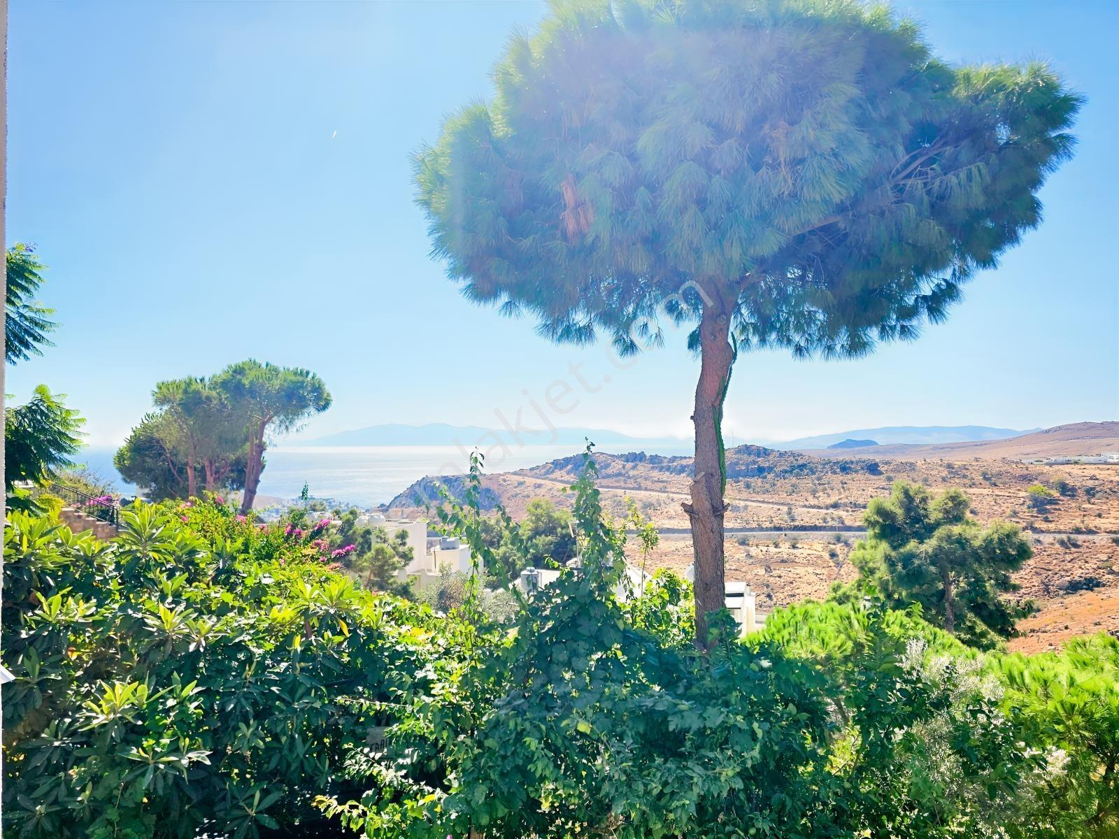 Bağla'da 4+1 Geniş Bahçeli Özel Plajlı Sosyal Tesisli Villa — fotoğraf 13
