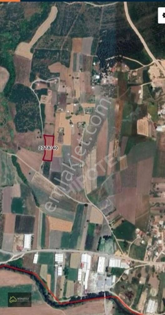 Hipotez'Den Balabancık'Da Satılık Fırsat Tarla...