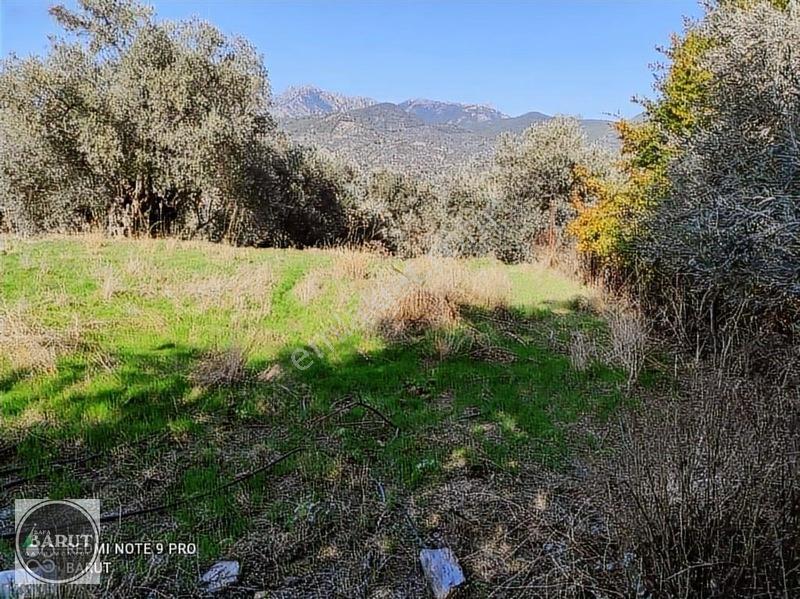 Milas Şenköy'de 1 Dönüm Kelepir Fiyata Hobi Bahçesi — fotoğraf 2