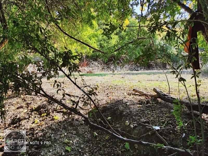 Milas Şenköy'de 1 Dönüm Kelepir Fiyata Hobi Bahçesi — fotoğraf 4
