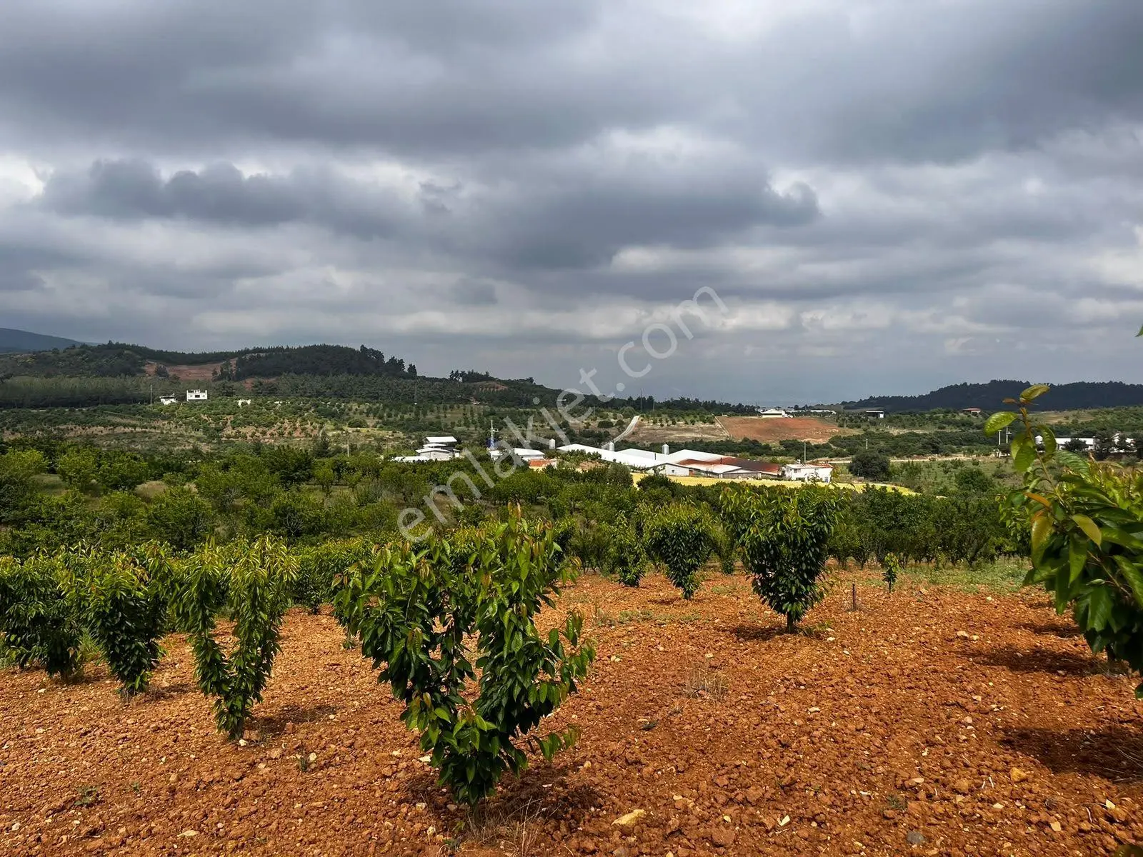 Eymen Emlaktan Ayvacık Köyü 8.450 M2 Satılık Bahçe — fotoğraf 2