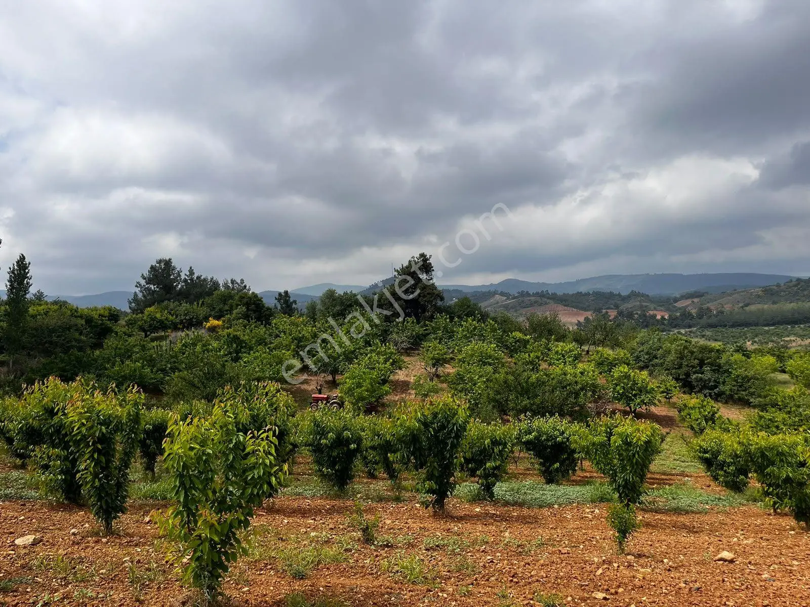 Eymen Emlaktan Ayvacık Köyü 8.450 M2 Satılık Bahçe — fotoğraf 3