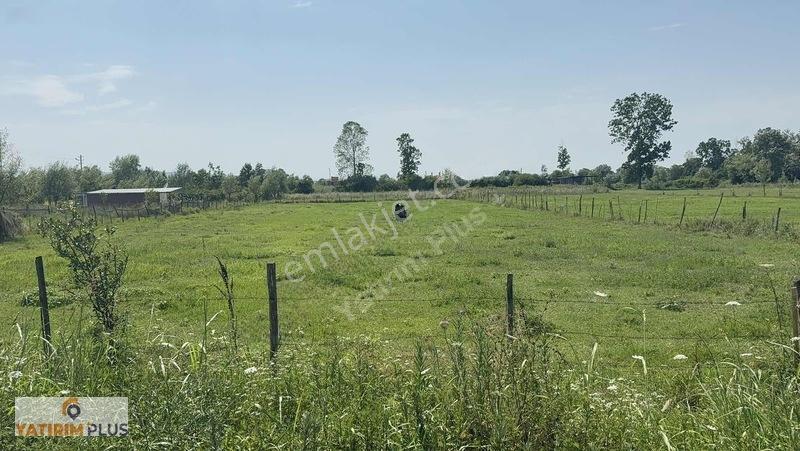 Yatırım Plus'tan Yörüklerde 427 M2 Harika Konumda Villalık Arsa — fotoğraf 25