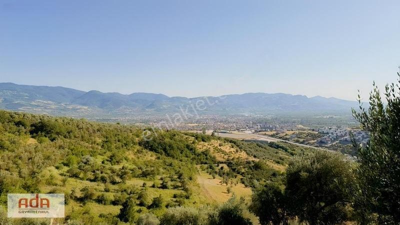 Geyve Merkeze 5 Km | Epçeler Mah1.600 M² Müstakil Arazi