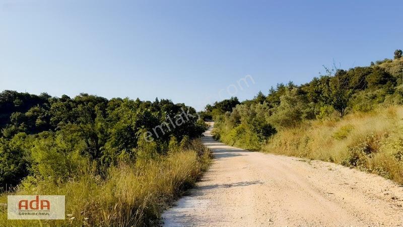 Geyve Merkeze 5 Km | Epçeler Mah1.600 M² Müstakil Arazi — fotoğraf 11