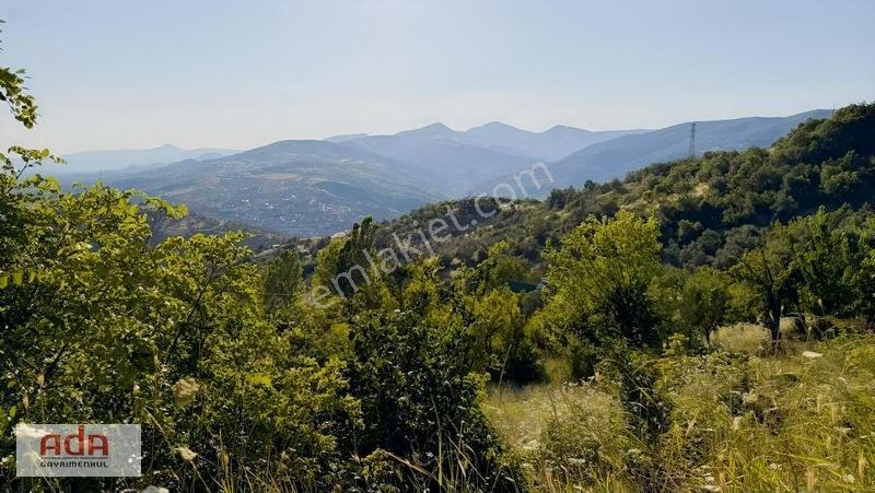 Geyve Merkeze 5 Km | Epçeler Mah1.600 M² Müstakil Arazi — fotoğraf 14