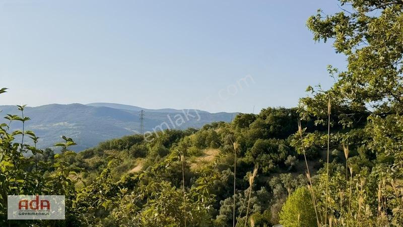 Geyve Merkeze 5 Km | Epçeler Mah1.600 M² Müstakil Arazi — fotoğraf 19
