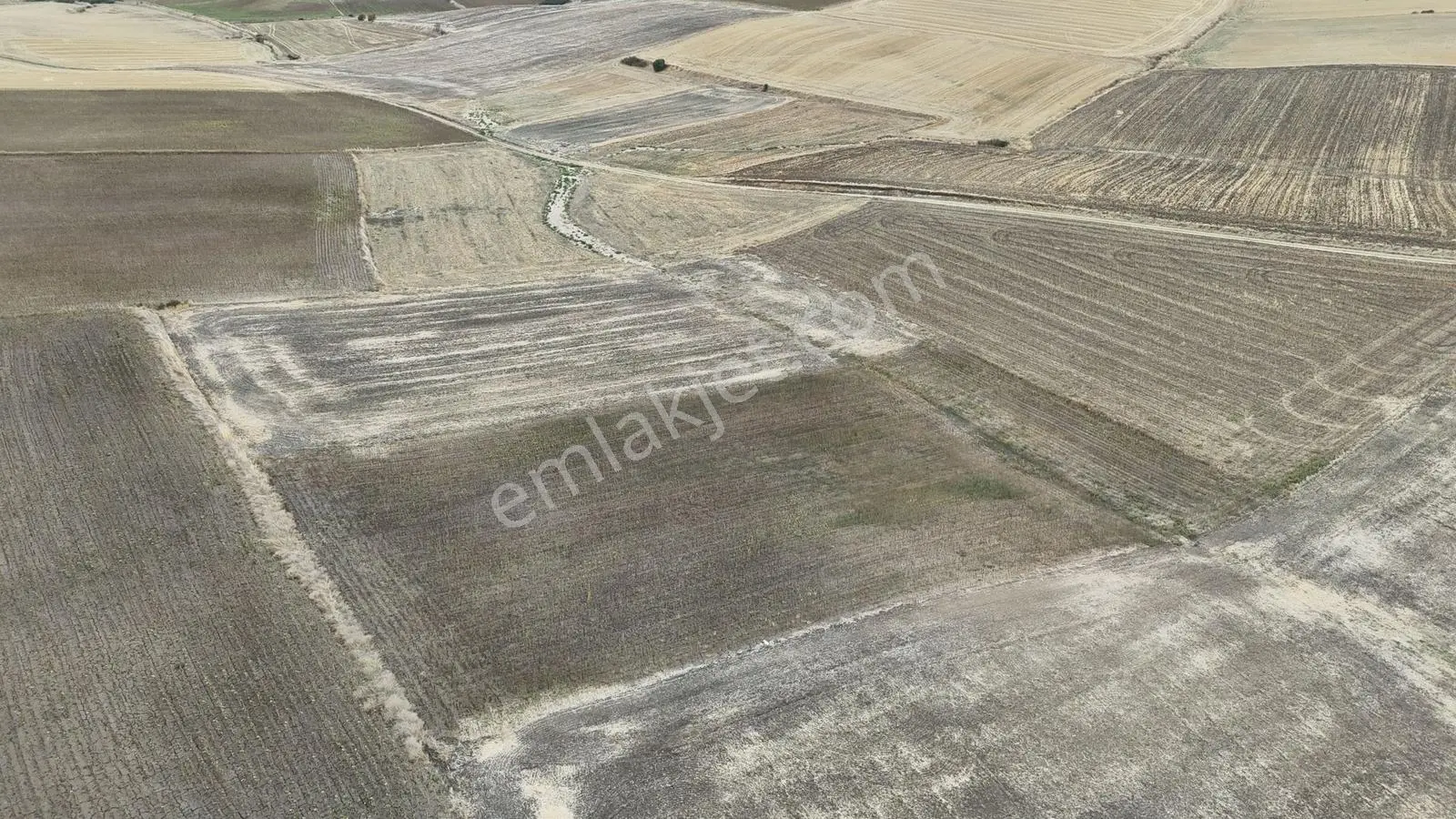 Buluruzdan Edirne Musabeyli Köyünde Satılık Tarla
