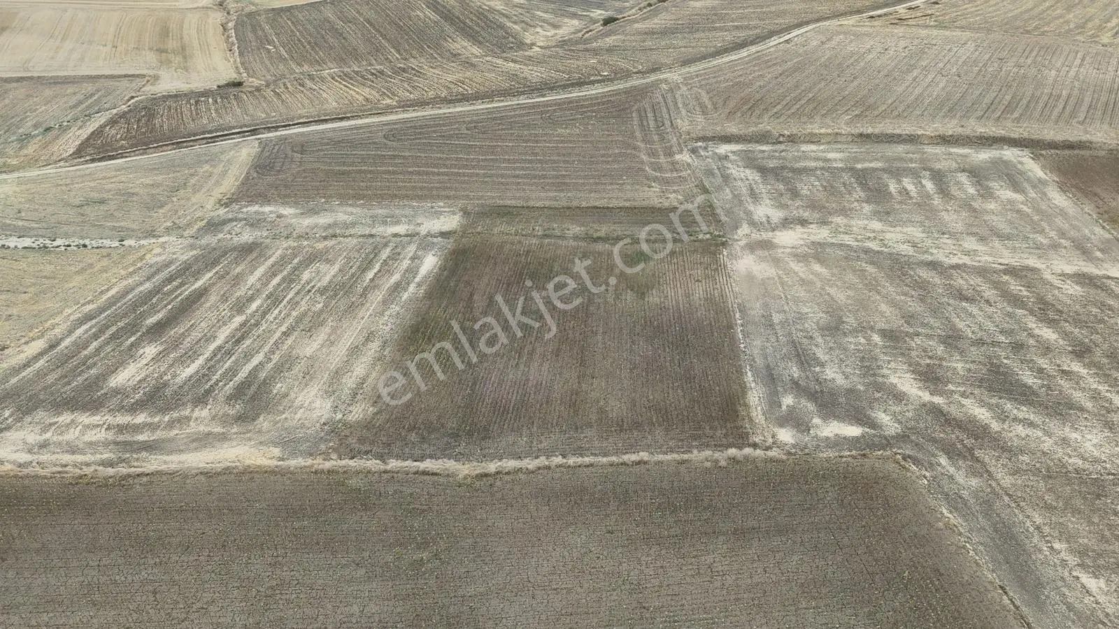 Buluruzdan Edirne Musabeyli Köyünde Satılık Tarla — fotoğraf 2
