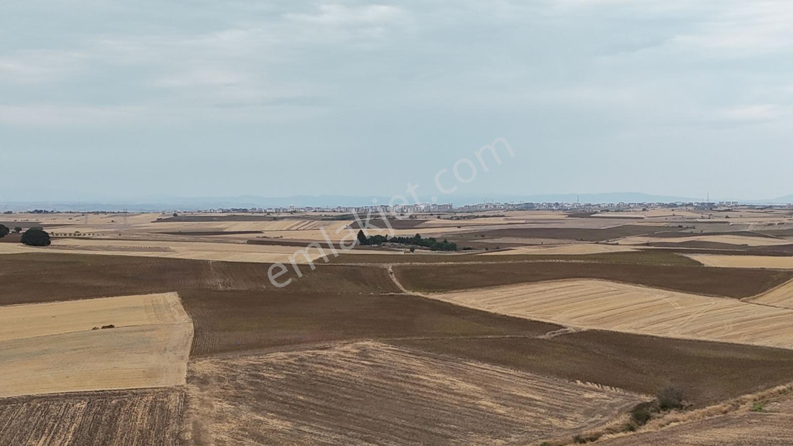 Buluruzdan Edirne Musabeyli Köyünde Satılık Tarla — fotoğraf 8