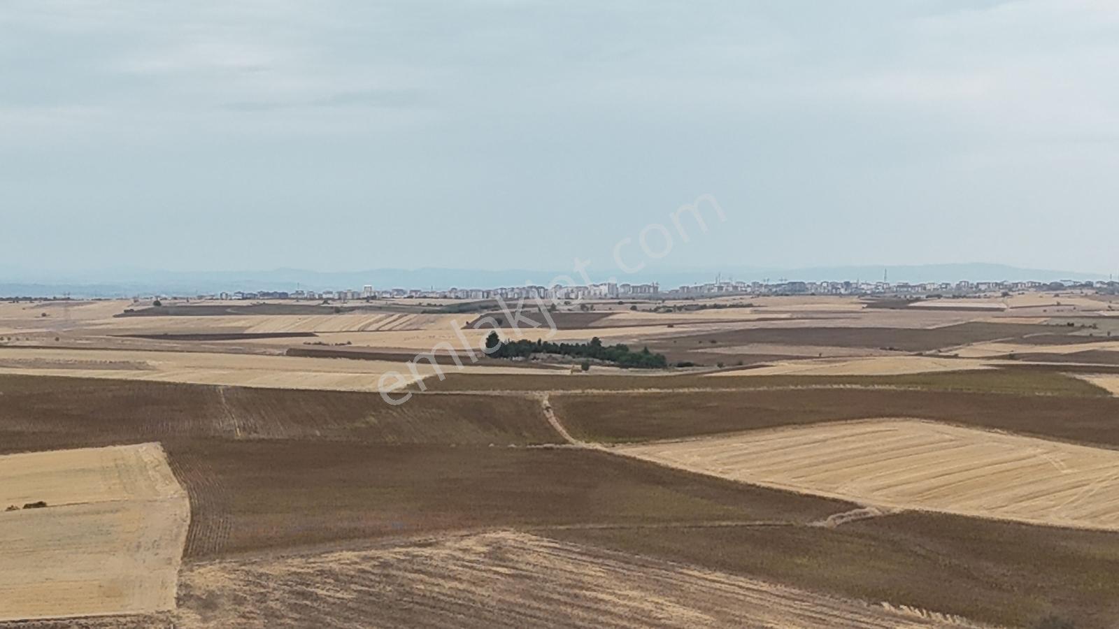Buluruzdan Edirne Musabeyli Köyünde Satılık Tarla — fotoğraf 9