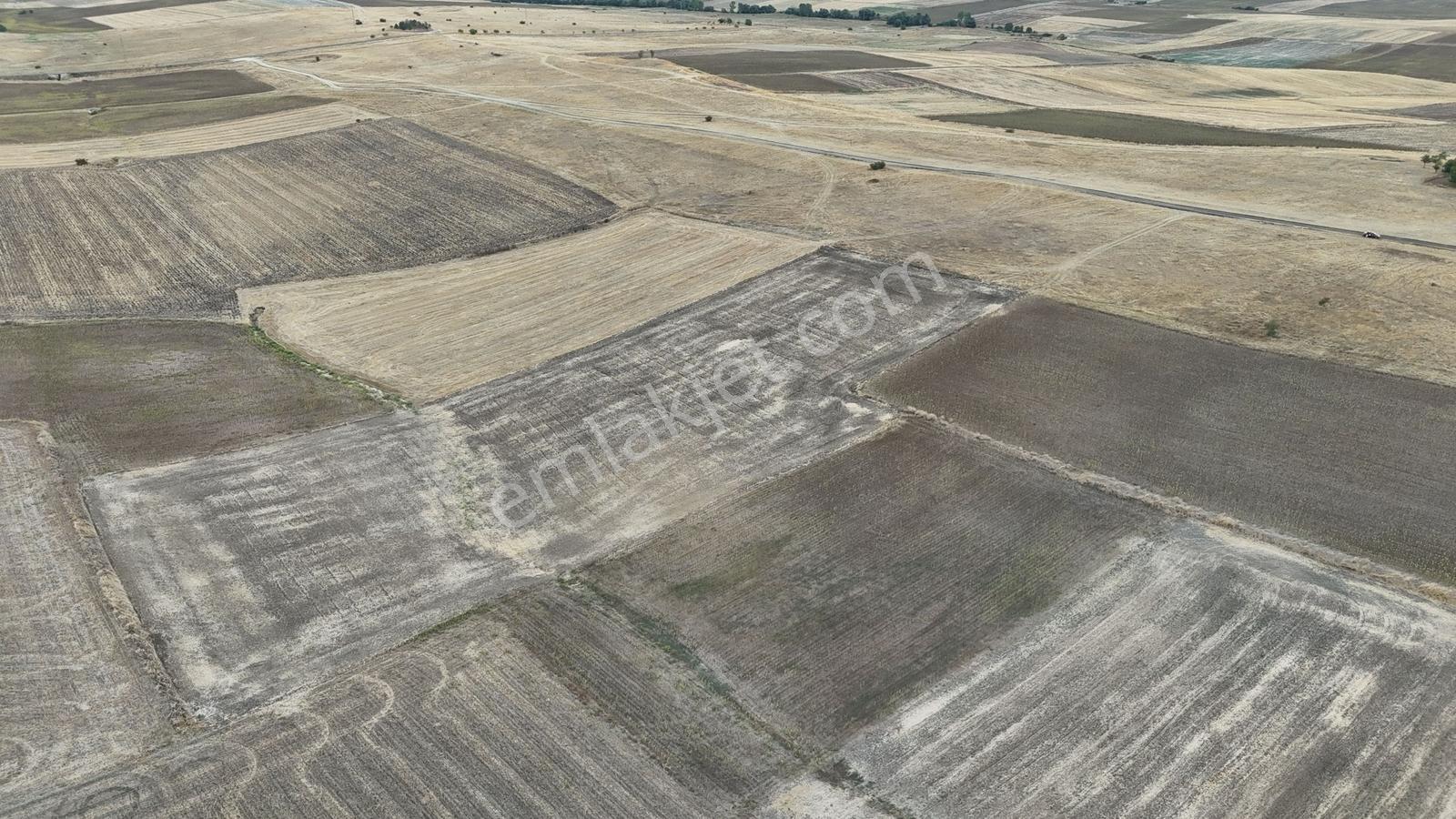 Buluruzdan Edirne Musabeyli Köyünde Satılık Tarla — fotoğraf 12