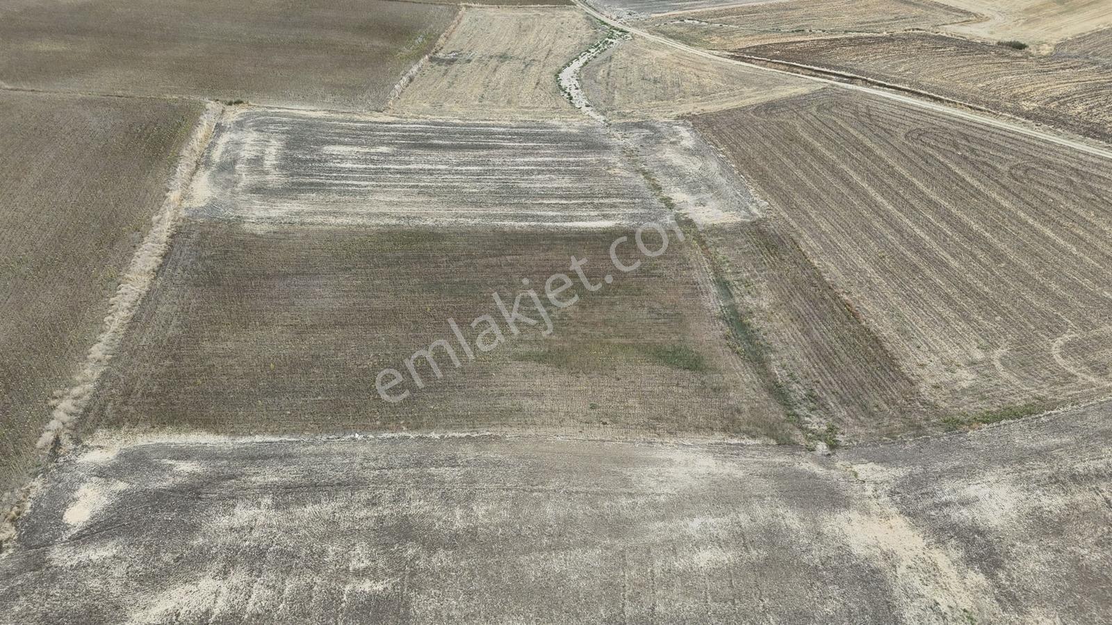 Buluruzdan Edirne Musabeyli Köyünde Satılık Tarla — fotoğraf 13