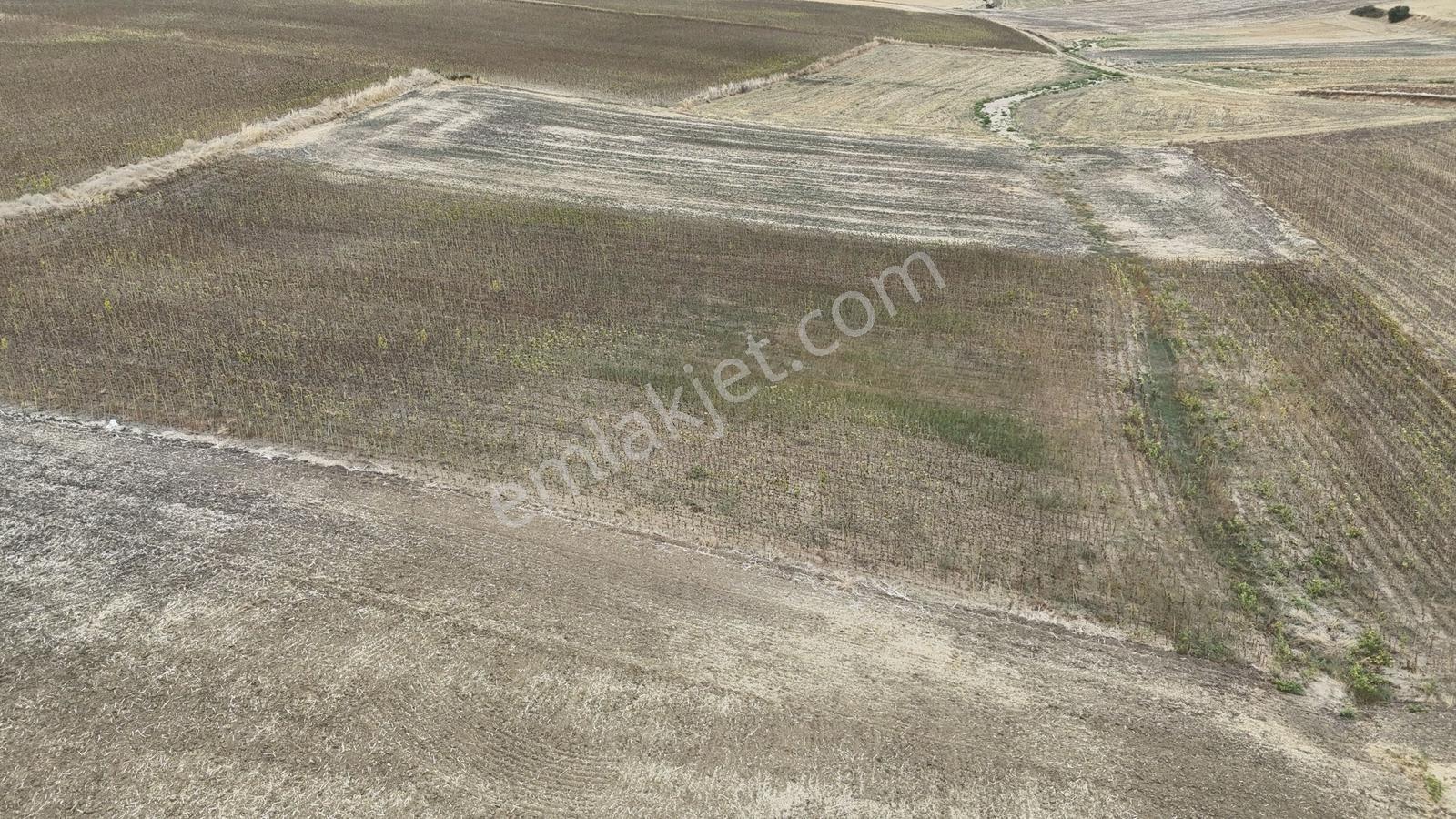 Buluruzdan Edirne Musabeyli Köyünde Satılık Tarla — fotoğraf 20